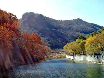 澳门天天开奖免费资料，钢塑土工格栅价格